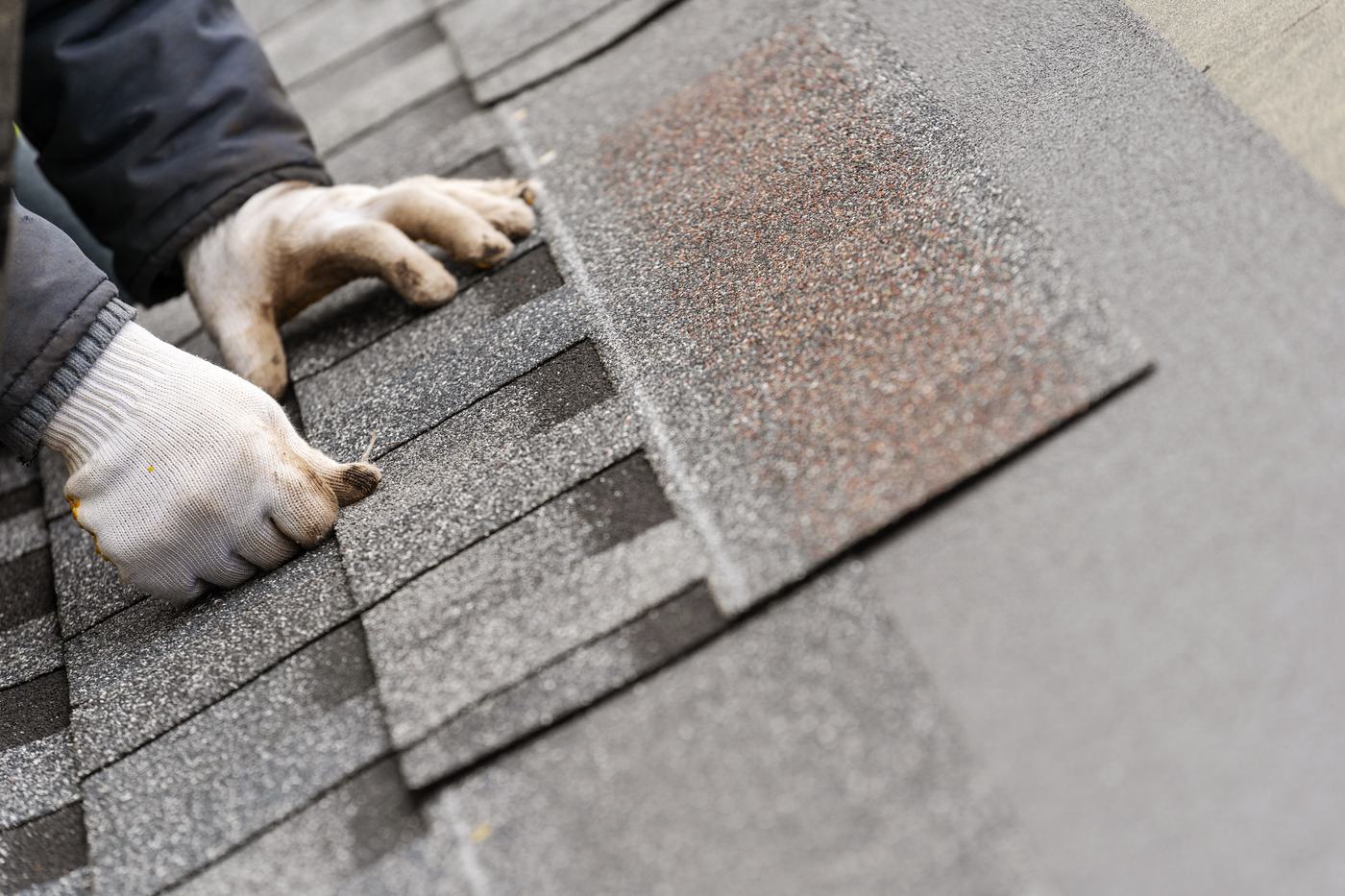 Shingle roof
