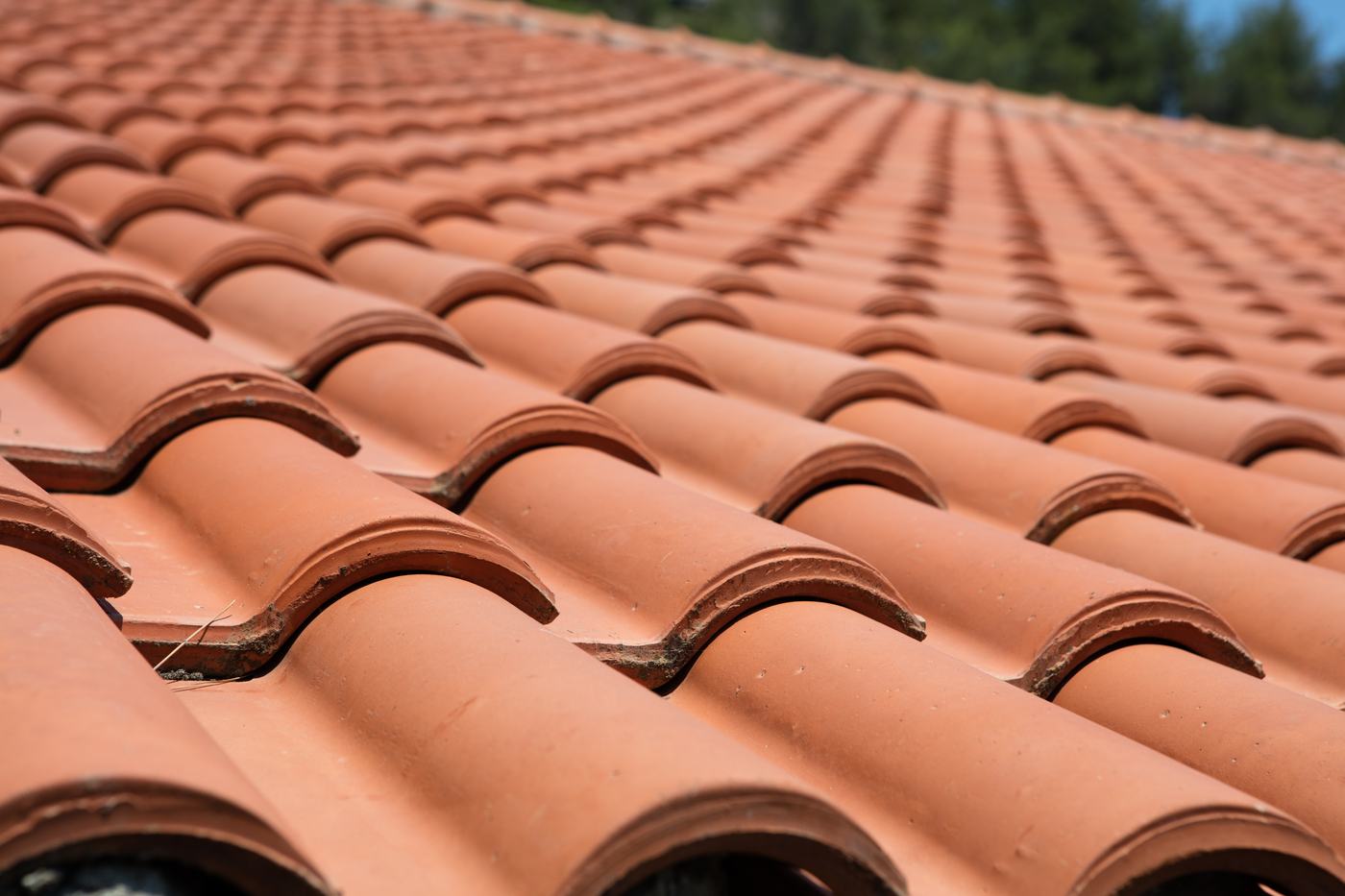 Best roof for Florida
